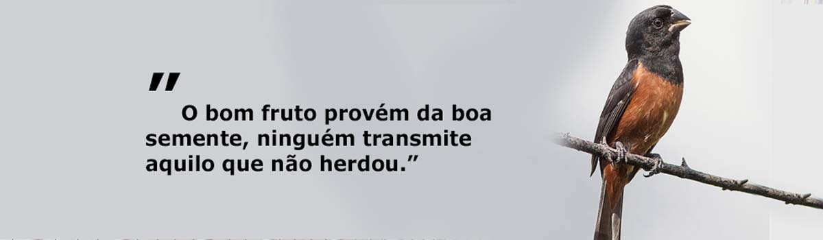 Criadouro Castro